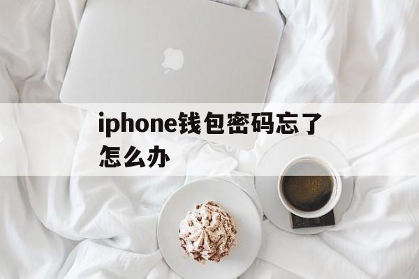 iphone钱包密码忘了怎么办-苹果手机钱包密码忘了手机打不开了