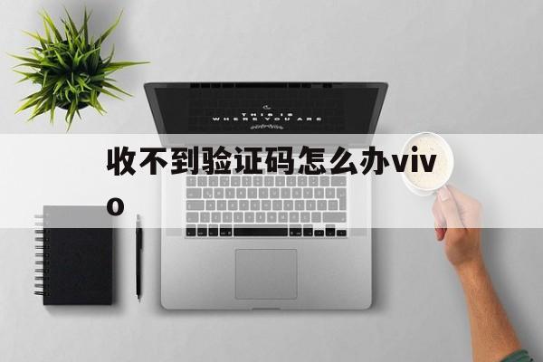 收不到验证码怎么办vivo-收不到验证码怎么办vivoY67L