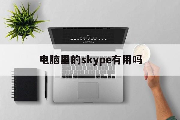 电脑里的skype有用吗-skype电脑版现在还能用吗