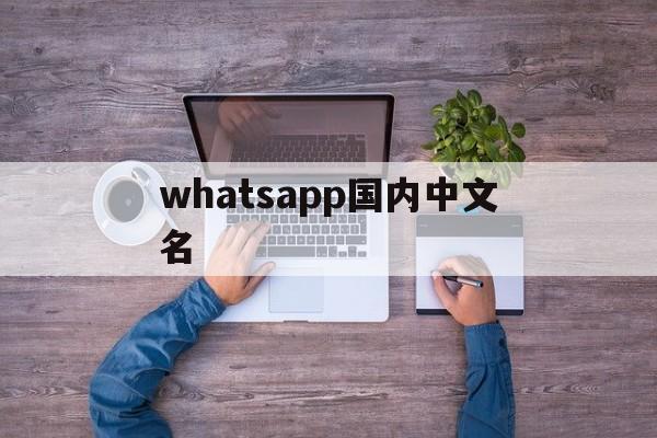 whatsapp国内中文名-whatsapp有没有中文版