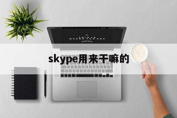 skype用来干嘛的-skype的功能包含什么