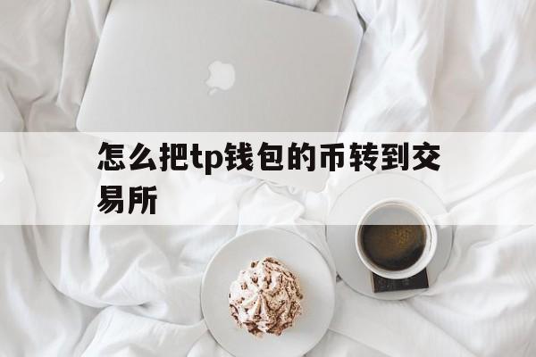 包含怎么把tp钱包的币转到交易所的词条