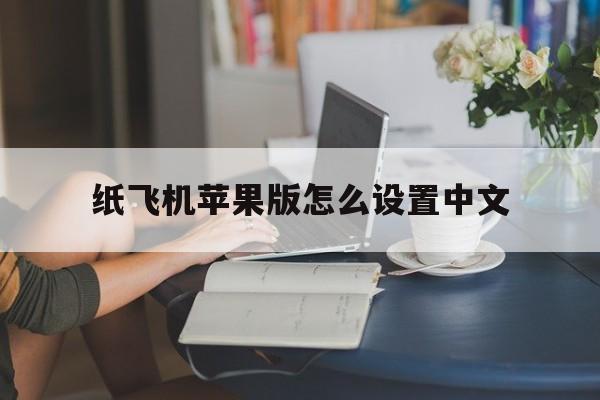 纸飞机苹果版怎么设置中文-ios纸飞机中文版怎么设置汉化