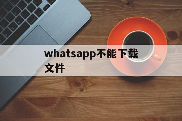 whatsapp不能下载文件-whatsapp不能下载图片怎么办