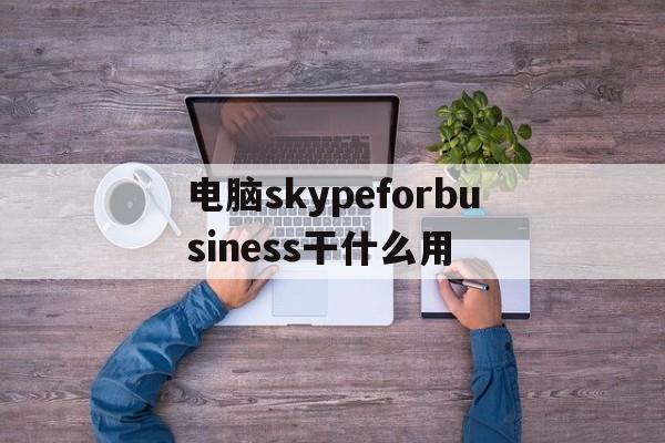 电脑skypeforbusiness干什么用-电脑skype for business干什么用