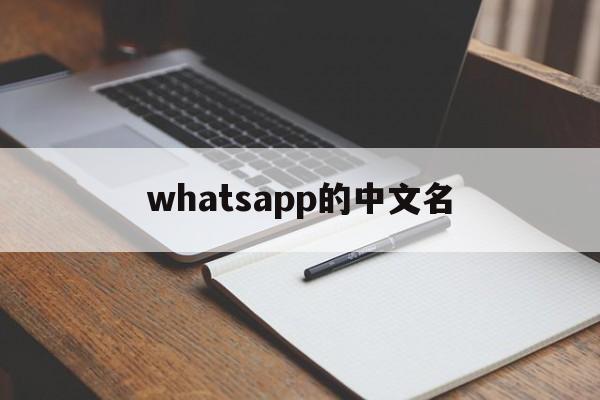 whatsapp的中文名-whatsapp国内中文名