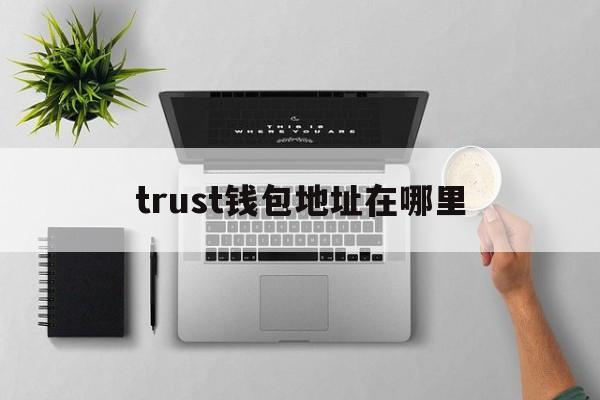 trust钱包地址在哪里-trustwallet钱包地址怎么看