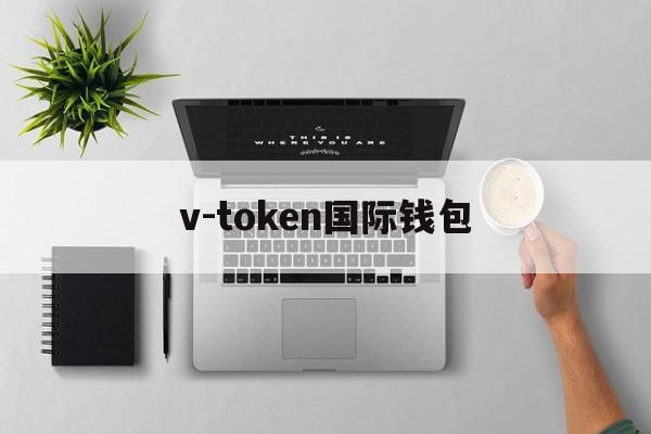 v-token国际钱包-vtokenpaydex