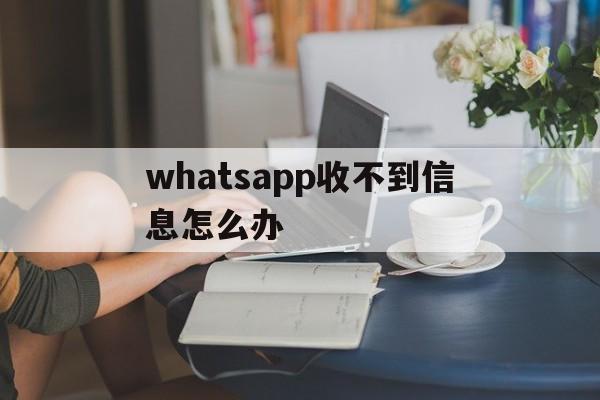 whatsapp收不到信息怎么办-为什么我的whatsapp收不到信息