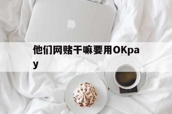 他们网赌干嘛要用OKpay-okpay钱包app是干嘛的