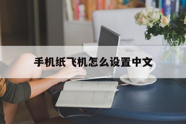 手机纸飞机怎么设置中文-手机纸飞机中文版怎么设置汉化