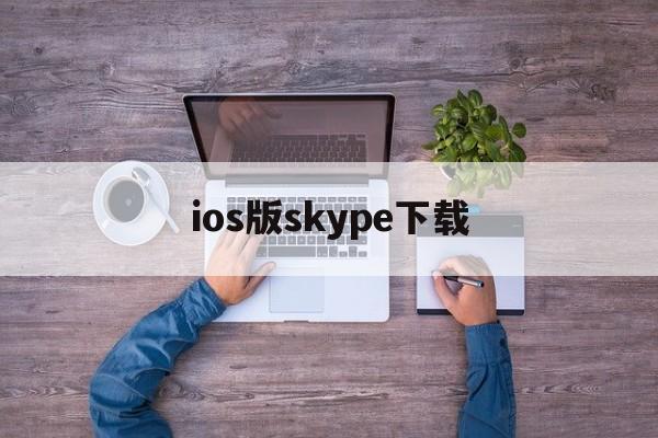 ios版skype下载-skype官方下载苹果版