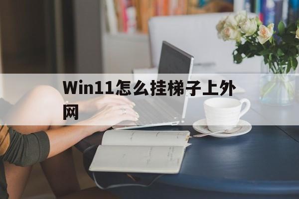 Win11怎么挂梯子上外网-win10电脑怎么挂梯子上外网