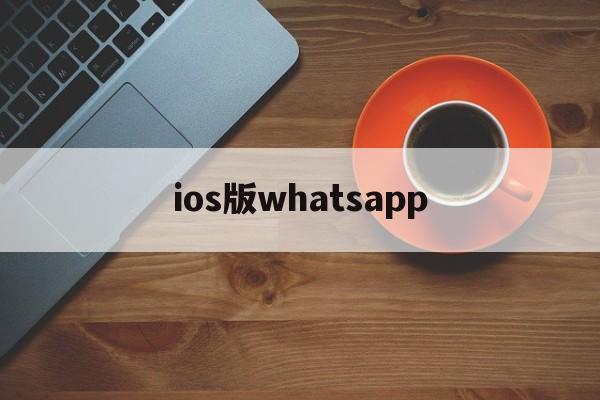 ios版whatsapp-ios版WhatsApp最新版本介绍