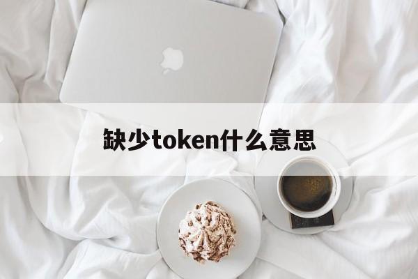 缺少token什么意思-缺少totalfee怎么解决