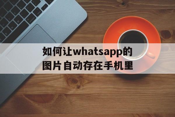 关于如何让whatsapp的图片自动存在手机里的信息