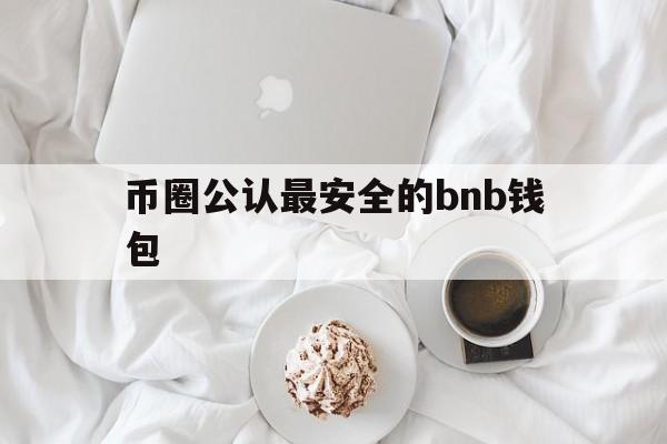 包含币圈公认最安全的bnb钱包的词条