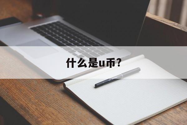 什么是u币?-什么是u币美金