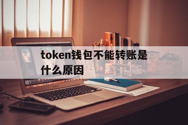 token钱包不能转账是什么原因-tokenpocket钱包转账没成功如何取消