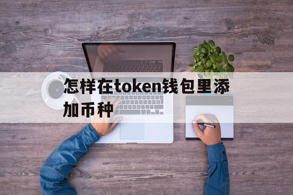 怎样在token钱包里添加币种-im token钱包如何添加usdt