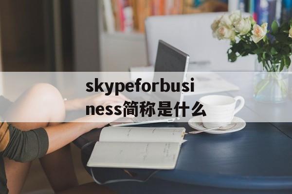 skypeforbusiness简称是什么-skype for business是干什么的