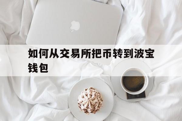 如何从交易所把币转到波宝钱包-交易所的币怎么转到imtoken钱包