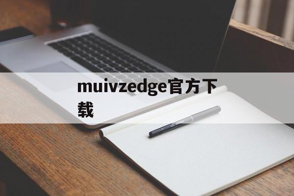 muivzedge官方下载-muvizedge汉化版下载