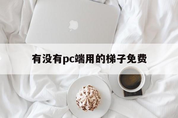 有没有pc端用的梯子免费-有没有pc端用的梯子免费的软件