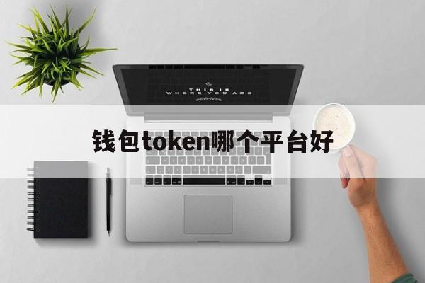 钱包token哪个平台好-钱包,tokenpocket