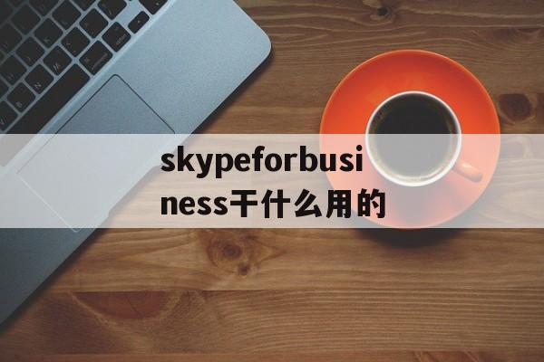 skypeforbusiness干什么用的-skypeforbusiness2016是什么