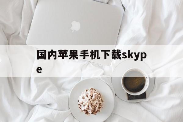 国内苹果手机下载skype-国内苹果手机下载tiktok