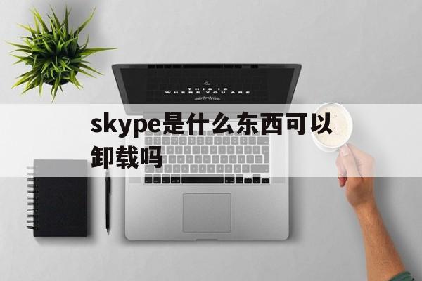 skype是什么东西可以卸载吗-skype是什么东西可以卸载吗安全吗