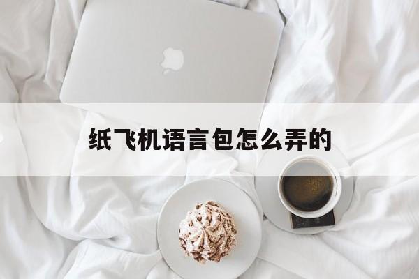 纸飞机语言包怎么弄的-纸飞机语言包怎么弄的啊