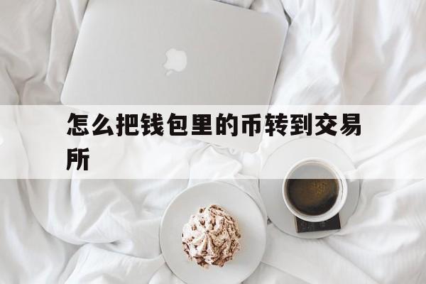 怎么把钱包里的币转到交易所-怎么把钱包里的币转到交易所里