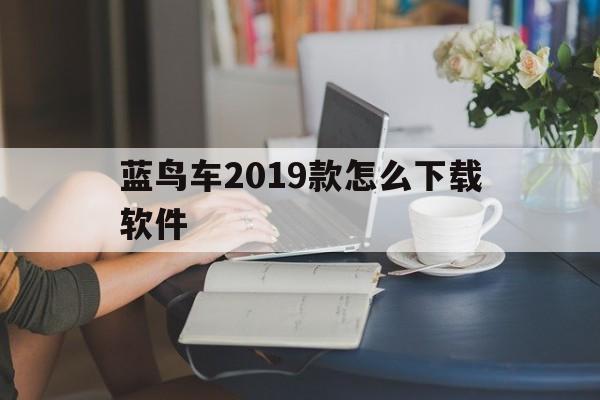 蓝鸟车2019款怎么下载软件-蓝鸟车2019款怎么下载软件安装