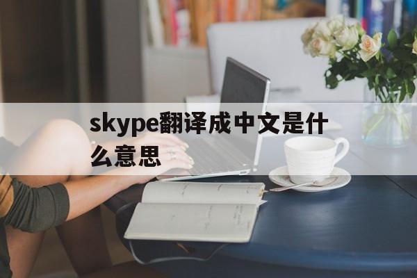 skype翻译成中文是什么意思-skype翻译成中文是什么意思啊