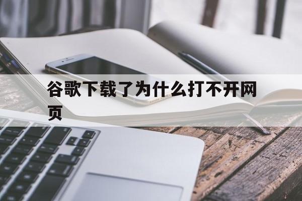 谷歌下载了为什么打不开网页:谷歌下载好了,但是任何网站都开不了