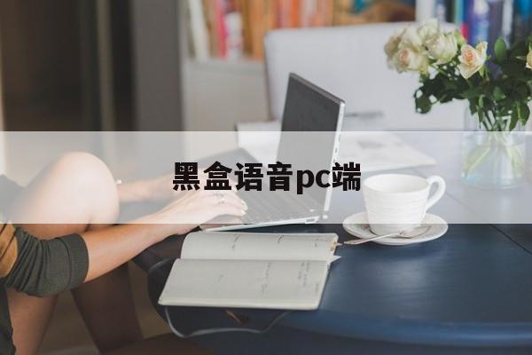 黑盒语音pc端:黑盒语音pc端怎么下载